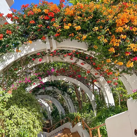 Tenerife Paradise Anna דירה