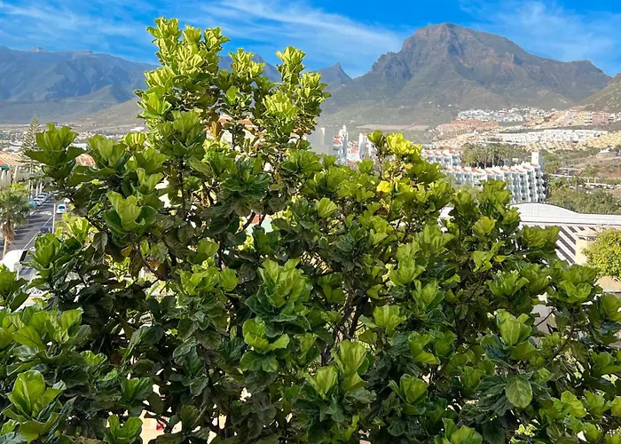 Apartment Tenerife Paradise Anna Costa Adeje (Tenerife)